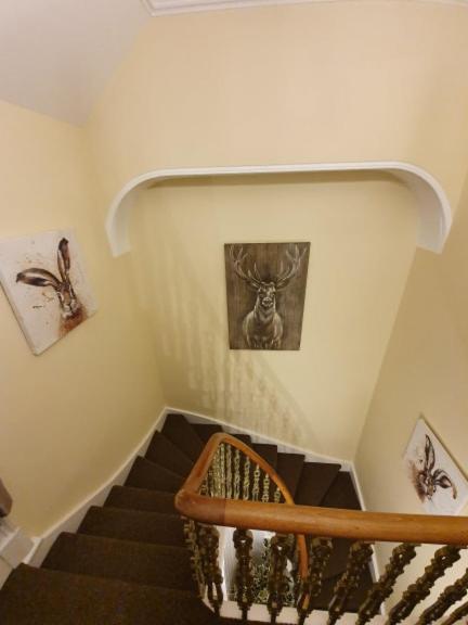 Park View House On Nc500 Villa Wick  Luaran gambar